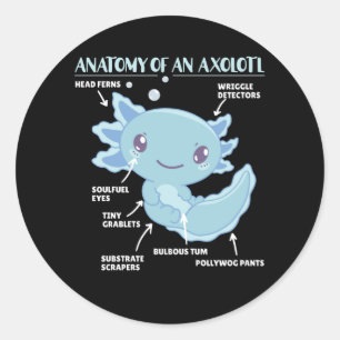 Anatomie eines Axolotl Runder Aufkleber