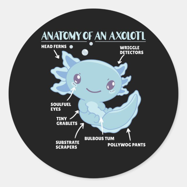 Anatomie eines Axolotl Runder Aufkleber (Vorderseite)
