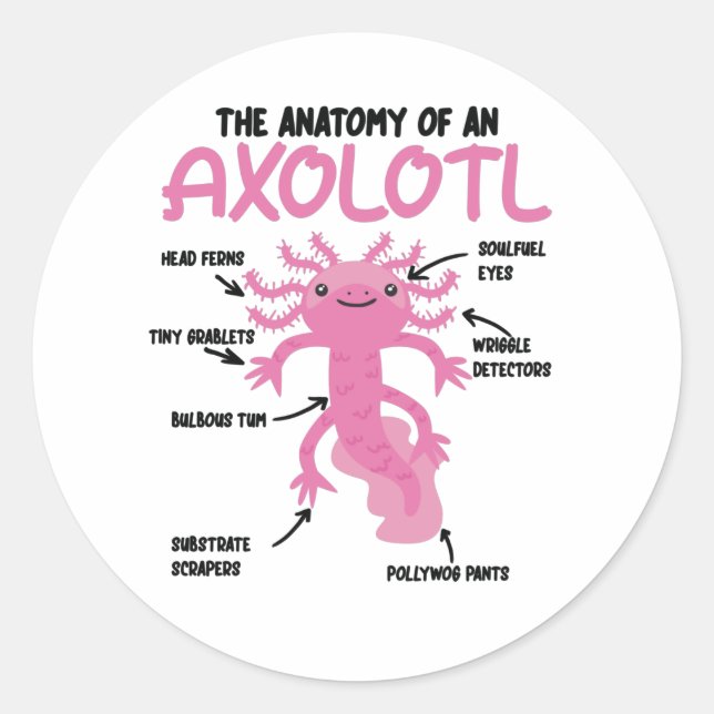 Anatomie eines Axolotl Runder Aufkleber (Vorderseite)