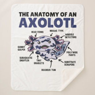 Anatomie eines Axolotl Sherpadecke