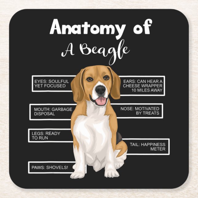 Anatomie eines Beagle Funny Hund Liebhaber Geschen Rechteckiger Pappuntersetzer (Vorderseite)