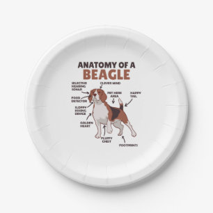 Anatomie eines Beagle Niedliche Hunde Funny Dog Be Pappteller