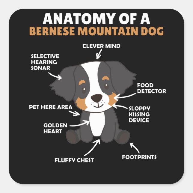 Anatomie eines Berner Hundes Niedliche Hunde Welpe Quadratischer Aufkleber (Vorderseite)