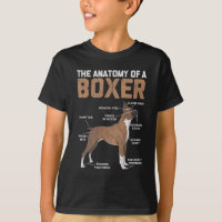 Anatomie eines Boxer Hund Tierherds