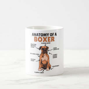 Anatomie eines Boxer Sweet Dog Welpen Kaffeetasse