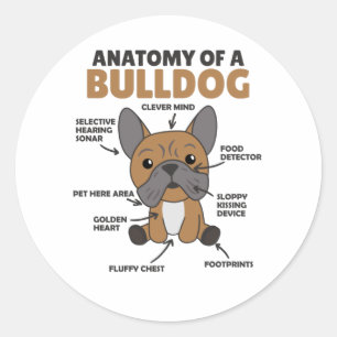 Anatomie eines Bulldoggen Hundes Runder Aufkleber