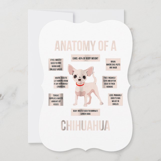 Anatomie eines chihuahua-lustigen Welpengeschenks (Vorderseite)
