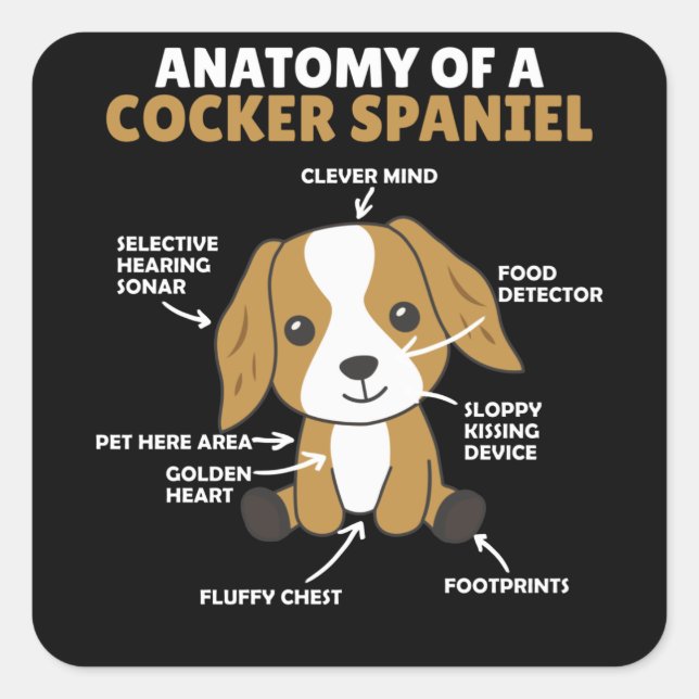 Anatomie eines Cocker Spanel Niedlich Hunde Welpe Quadratischer Aufkleber (Vorderseite)