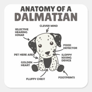 Anatomie eines Dalmatiners süße Hunde Funny Puppy Quadratischer Aufkleber