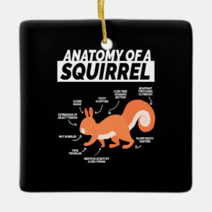 Anatomie eines Eichhörnchens Keramikornament