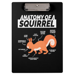 Anatomie eines Eichhörnchens Klemmbrett