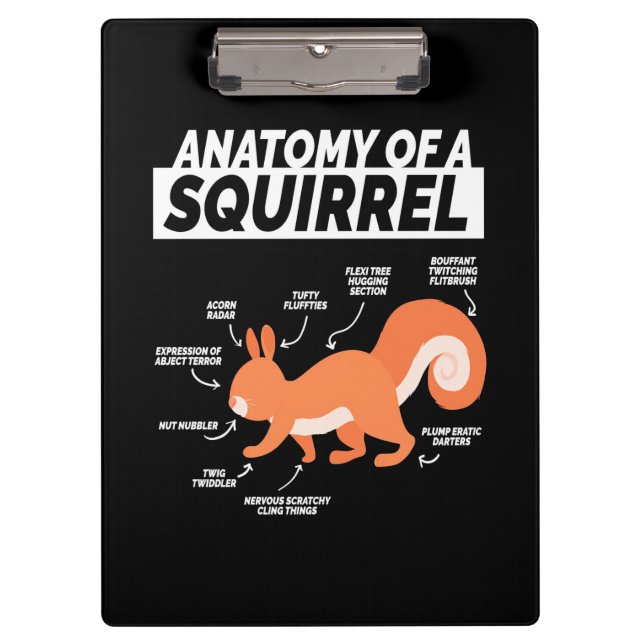 Anatomie eines Eichhörnchens Klemmbrett (Vorderseite)