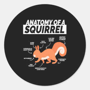 Anatomie eines Eichhörnchens Runder Aufkleber