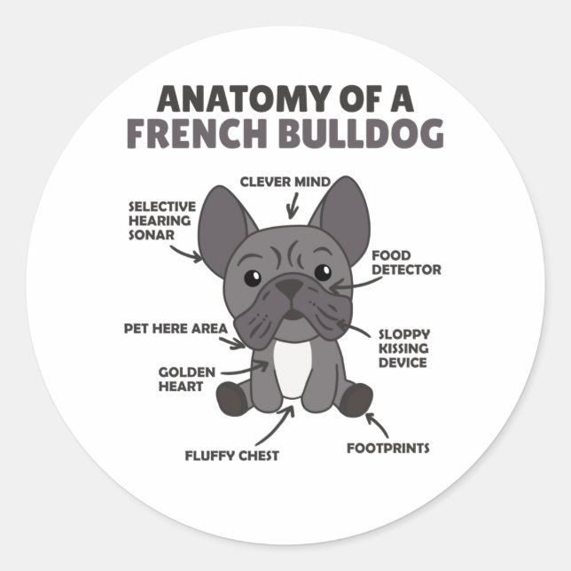 Anatomie eines französischen Bulldoggen-Hundes Runder Aufkleber (Vorderseite)