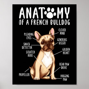 Anatomie eines französischen Bulldoggen-Mama-Vate Poster