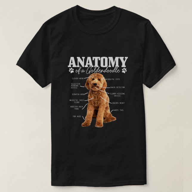 Anatomie eines Goldendoodle Niedlich Dog Doodle Mo T-Shirt (Design vorne)