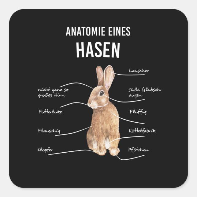 Anatomie eines Hasen-Kaninchen-Kaninchens Quadratischer Aufkleber (Vorderseite)