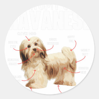 Anatomie eines Havanese - Kubanischer Havaneser Ha Runder Aufkleber