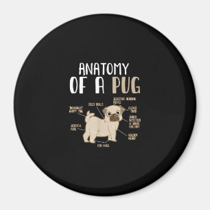 Anatomie eines Hundebüts eines Mops Magnet