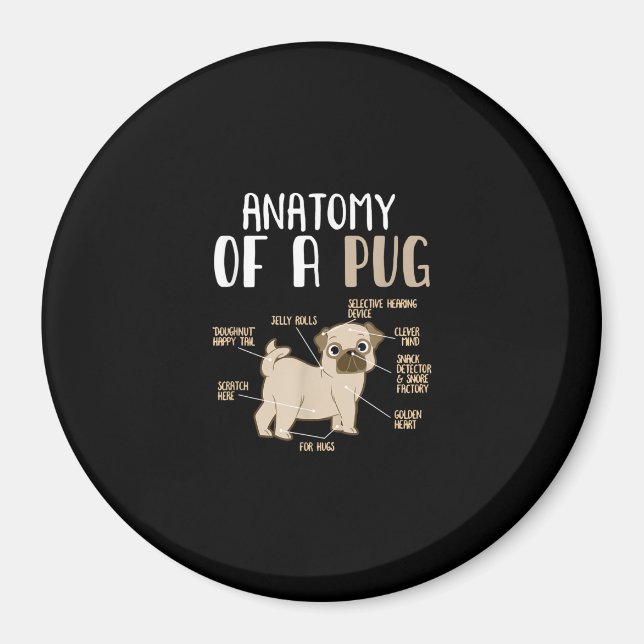 Anatomie eines Hundebüts eines Mops Magnet (Vorne)