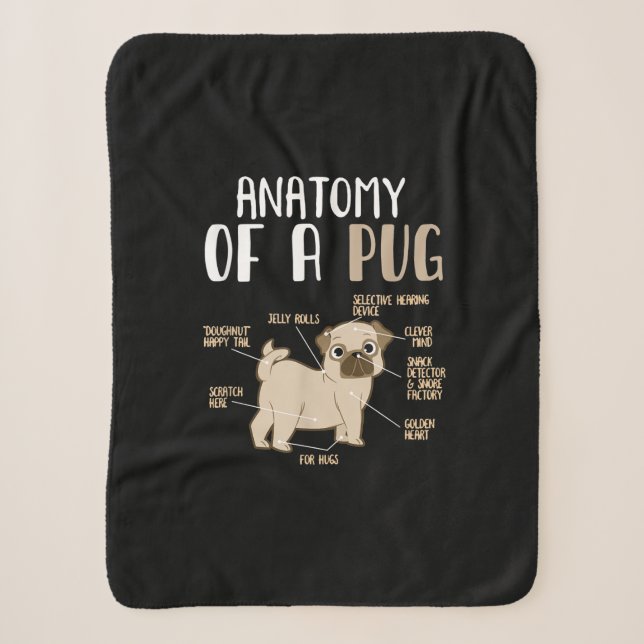 Anatomie eines Hundebüts eines Mops Sherpadecke (Vorderseite)