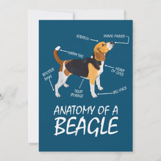Anatomie eines Hundes aus Beagle