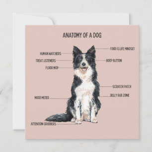 Anatomie eines Hundes Karte