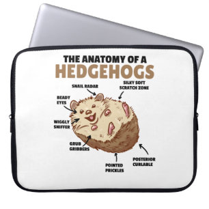Anatomie eines Igels im niedlichen Igel Laptopschutzhülle
