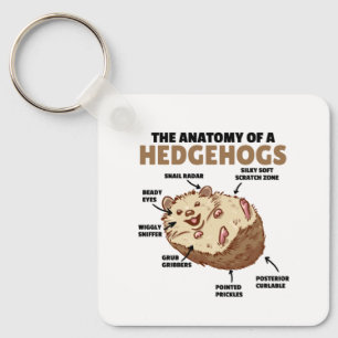 Anatomie eines Igels im niedlichen Igel Schlüsselanhänger
