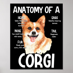 Anatomie eines Korgis für Hundeliebhaber Poster