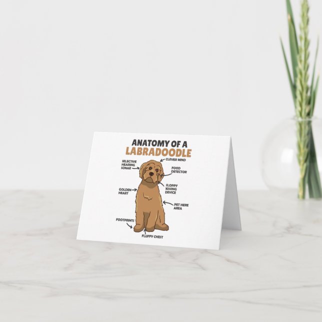 Anatomie eines Labradoodle-Niedlichen Hündchens Dankeskarte (Vorderseite)