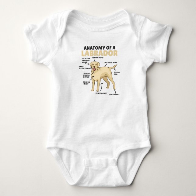 Anatomie eines Labrador Retriever Sweet Hunde Baby Strampler (Vorderseite)