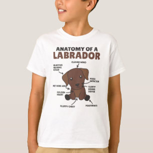 Anatomie eines Labrador Retriever Sweet Hunde T-Shirt