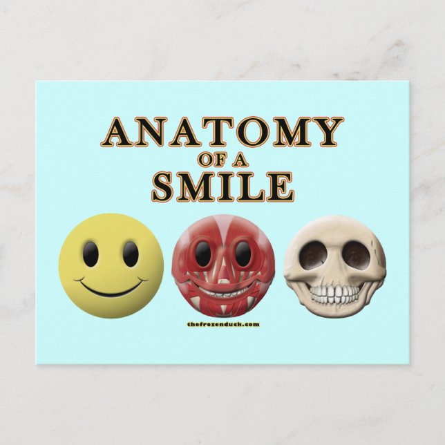 Anatomie eines Lächels Postkarte (Vorderseite)