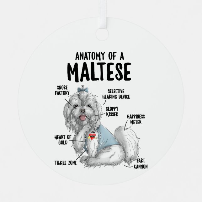 Anatomie eines maltesischen Hundebesitzers Welpe F Ornament Aus Metall (Vorderseite)
