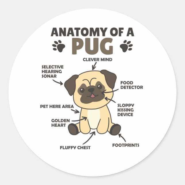 Anatomie eines Mops süße Hunde Funny Puppy Runder Aufkleber (Vorderseite)