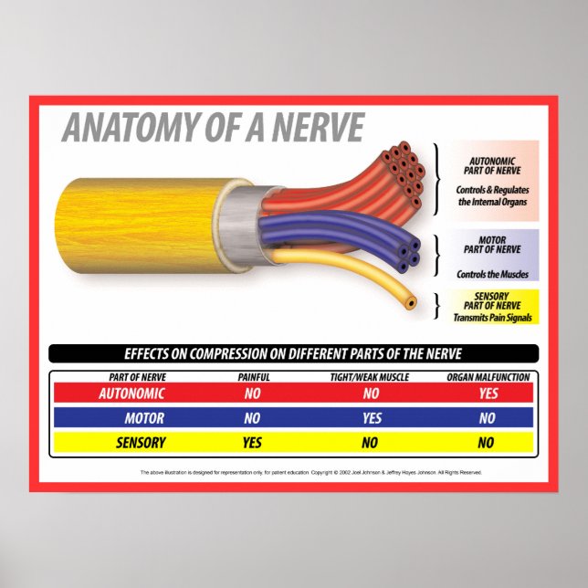 Anatomie eines Nervs 2015 Poster (Vorne)
