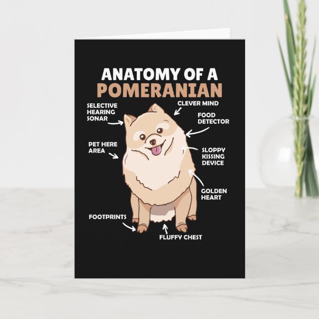 Anatomie eines Niedlichen Hundes eines Spitzes Karte (Vorderseite)