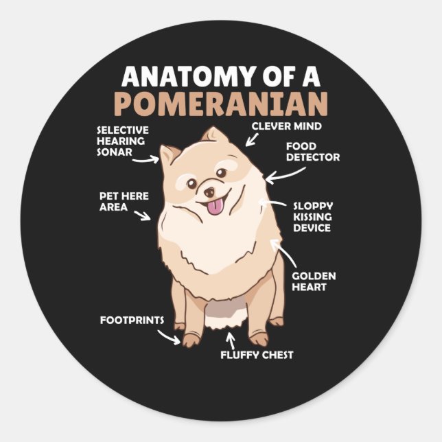 Anatomie eines Niedlichen Hundes eines Spitzes Runder Aufkleber (Vorderseite)