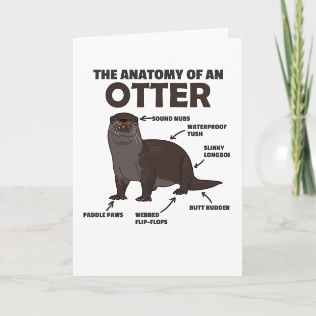 Anatomie eines Otters mit niedlicher Otter Karte (Vorderseite)