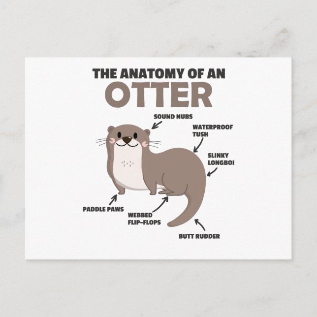 Anatomie eines Otters mit niedlicher Otter Postkarte (Vorderseite)
