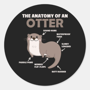 Anatomie eines Otters mit niedlicher Otter Runder Aufkleber