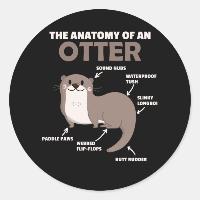 Anatomie eines Otters mit niedlicher Otter Runder Aufkleber (Vorderseite)