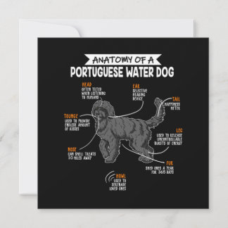 Anatomie eines portugiesischen Wasserhundes-Gesche Einladung