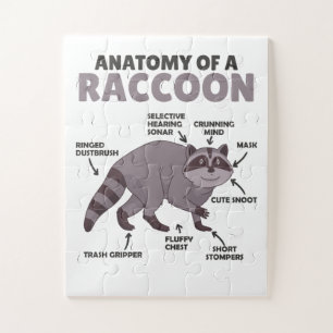Anatomie eines Raccoon