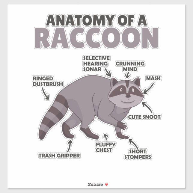 Anatomie eines Raccoon Aufkleber (Blatt)