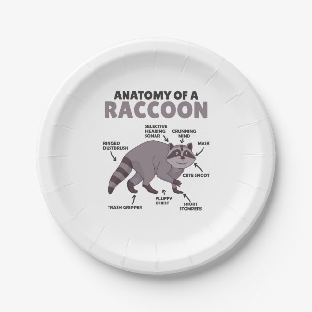 Anatomie eines Raccoon Pappteller (Vorderseite)