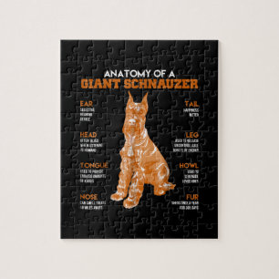 Anatomie eines Riesenschnauzer-Hunde-Funny-Geschen