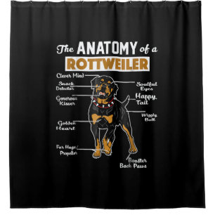 Anatomie eines Rottweilers Duschvorhang