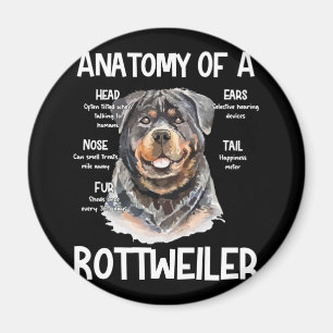 Anatomie eines Rottweilers für Hundeliebhaber Magnet